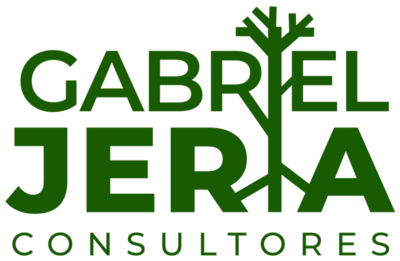 Gabriel Jeria Consultores